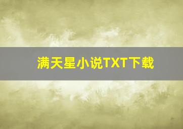 满天星小说TXT下载