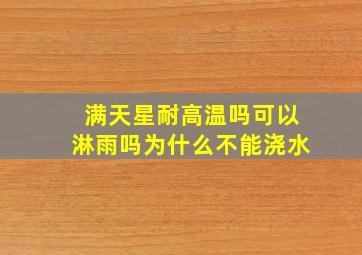 满天星耐高温吗可以淋雨吗为什么不能浇水