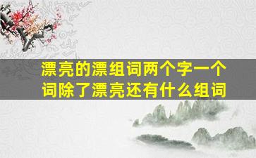 漂亮的漂组词两个字一个词除了漂亮还有什么组词