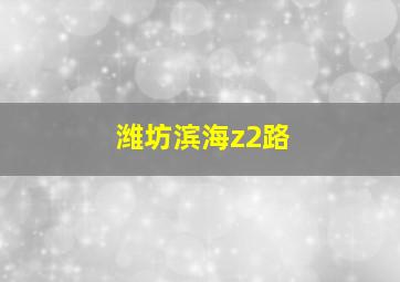 潍坊滨海z2路