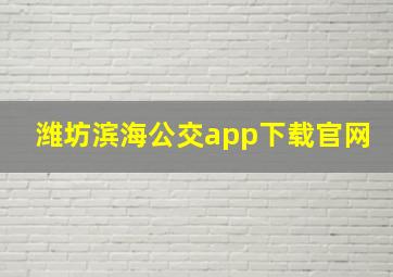 潍坊滨海公交app下载官网