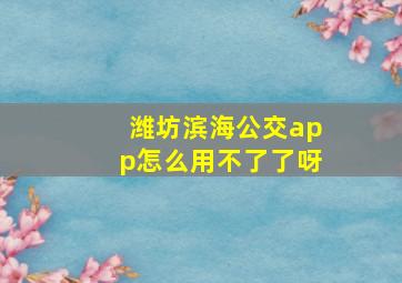 潍坊滨海公交app怎么用不了了呀