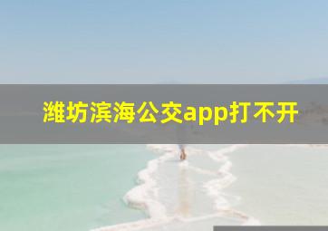 潍坊滨海公交app打不开