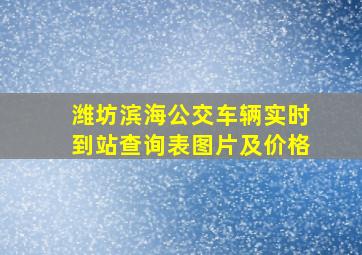 潍坊滨海公交车辆实时到站查询表图片及价格