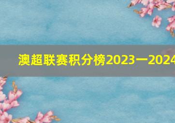 澳超联赛积分榜2023一2024