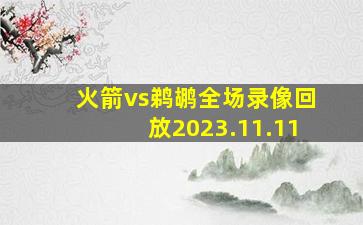 火箭vs鹈鹕全场录像回放2023.11.11