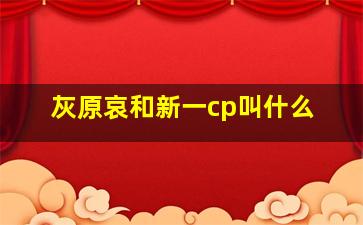 灰原哀和新一cp叫什么