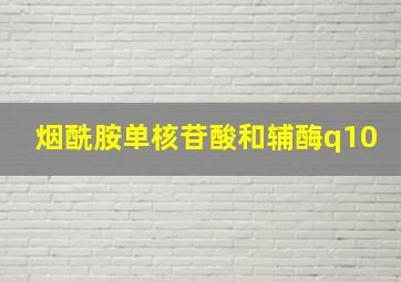 烟酰胺单核苷酸和辅酶q10