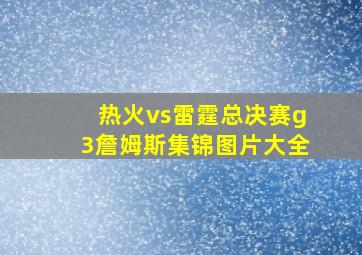 热火vs雷霆总决赛g3詹姆斯集锦图片大全