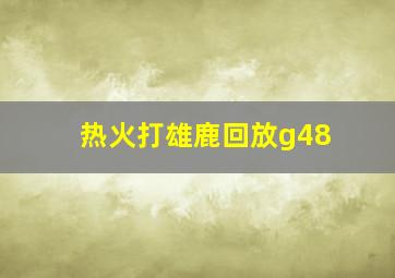 热火打雄鹿回放g48