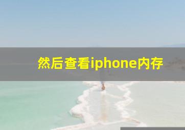 然后查看iphone内存