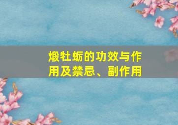 煅牡蛎的功效与作用及禁忌、副作用