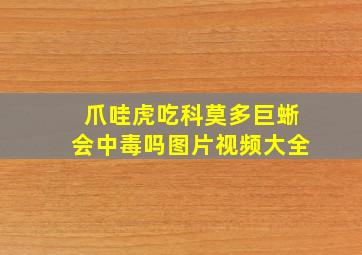 爪哇虎吃科莫多巨蜥会中毒吗图片视频大全