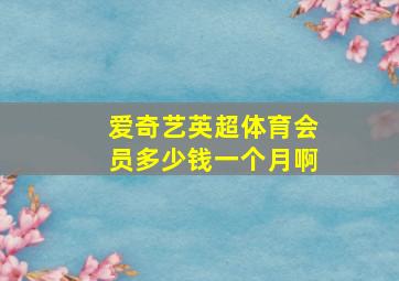 爱奇艺英超体育会员多少钱一个月啊