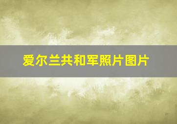 爱尔兰共和军照片图片