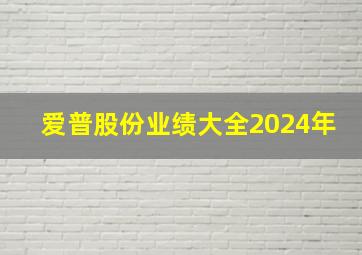 爱普股份业绩大全2024年