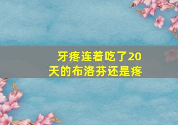 牙疼连着吃了20天的布洛芬还是疼