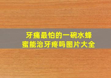 牙痛最怕的一碗水蜂蜜能治牙疼吗图片大全