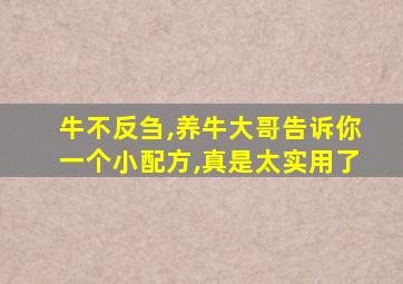 牛不反刍,养牛大哥告诉你一个小配方,真是太实用了