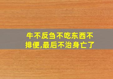 牛不反刍不吃东西不排便,最后不治身亡了