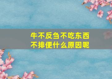 牛不反刍不吃东西不排便什么原因呢