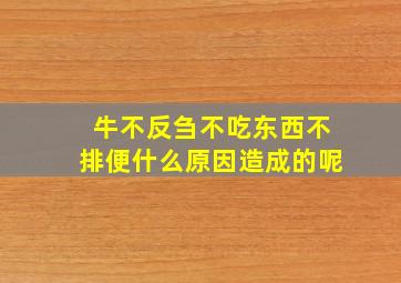 牛不反刍不吃东西不排便什么原因造成的呢