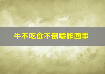 牛不吃食不倒嚼咋回事