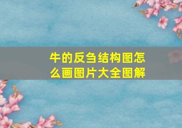 牛的反刍结构图怎么画图片大全图解