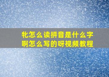 牝怎么读拼音是什么字啊怎么写的呀视频教程