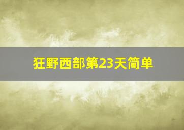 狂野西部第23天简单