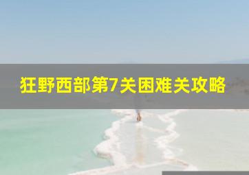 狂野西部第7关困难关攻略