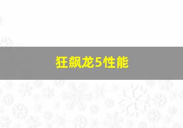 狂飙龙5性能