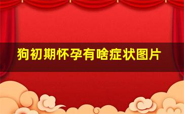 狗初期怀孕有啥症状图片