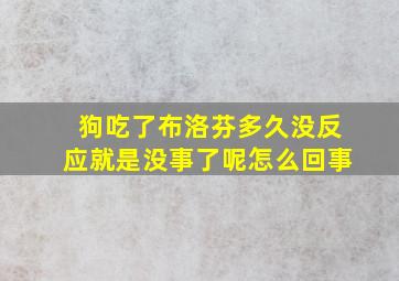 狗吃了布洛芬多久没反应就是没事了呢怎么回事