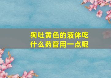 狗吐黄色的液体吃什么药管用一点呢