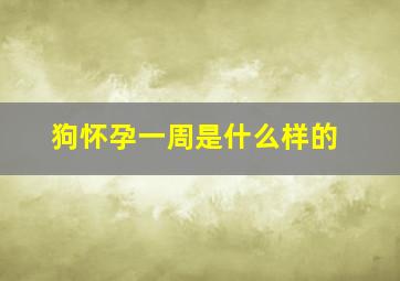 狗怀孕一周是什么样的