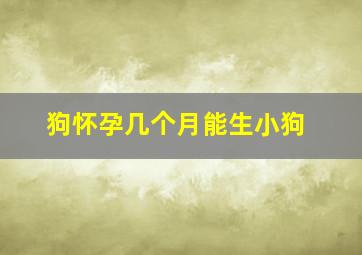 狗怀孕几个月能生小狗