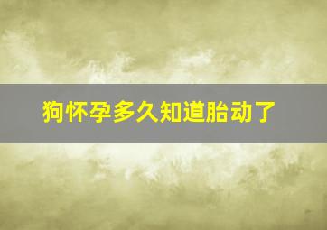 狗怀孕多久知道胎动了