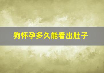 狗怀孕多久能看出肚子