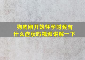 狗狗刚开始怀孕时候有什么症状吗视频讲解一下