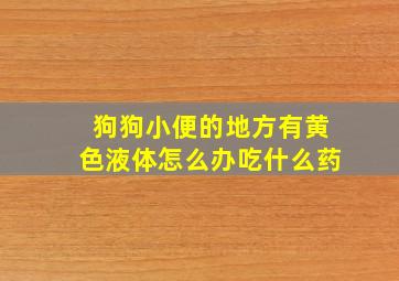 狗狗小便的地方有黄色液体怎么办吃什么药