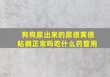 狗狗尿出来的尿很黄很粘稠正常吗吃什么药管用