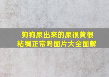 狗狗尿出来的尿很黄很粘稠正常吗图片大全图解