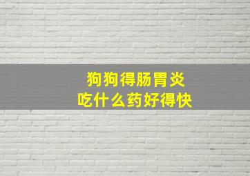 狗狗得肠胃炎吃什么药好得快