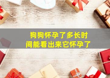 狗狗怀孕了多长时间能看出来它怀孕了