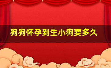 狗狗怀孕到生小狗要多久