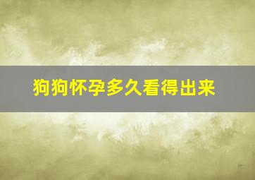 狗狗怀孕多久看得出来