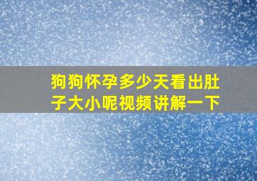 狗狗怀孕多少天看出肚子大小呢视频讲解一下