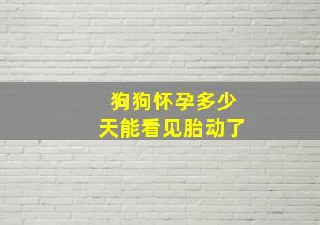 狗狗怀孕多少天能看见胎动了