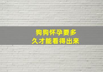 狗狗怀孕要多久才能看得出来